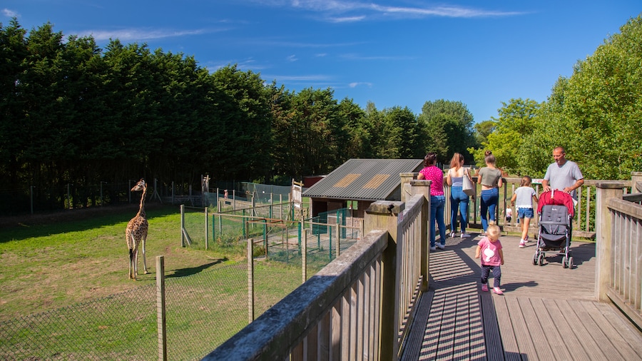 Blackpool Zoo