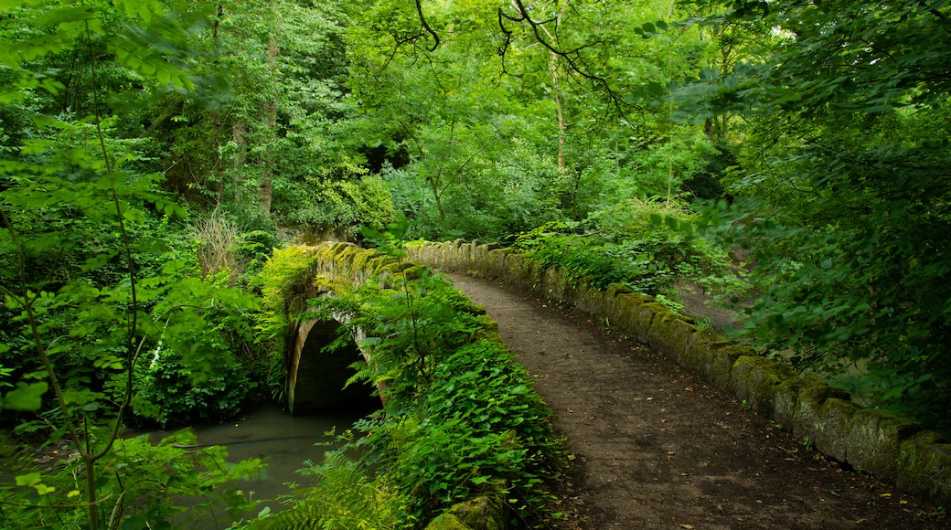 Jesmond Dene Park