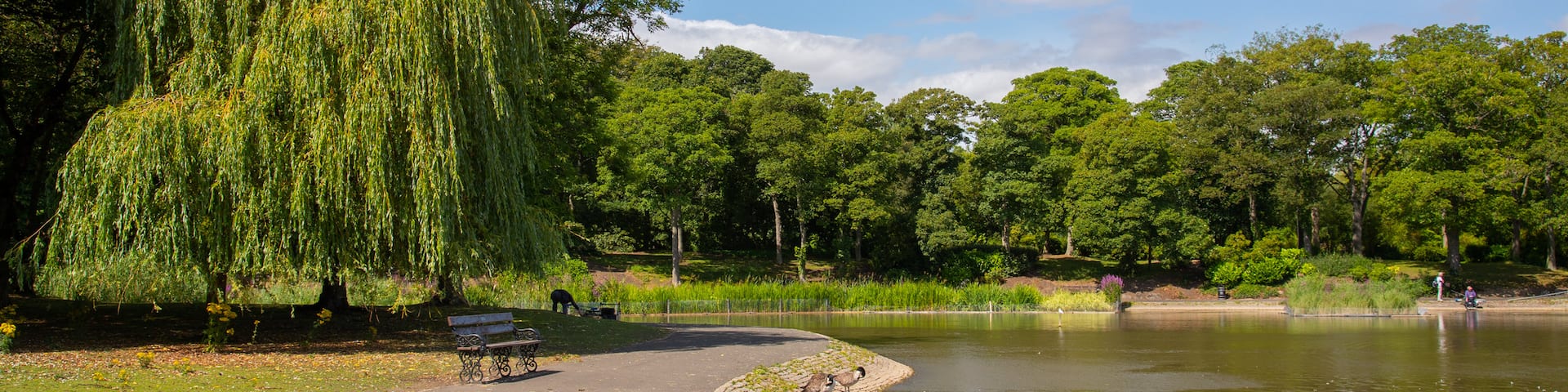 Leazes Park showing a pond