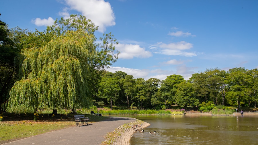Leazes Park