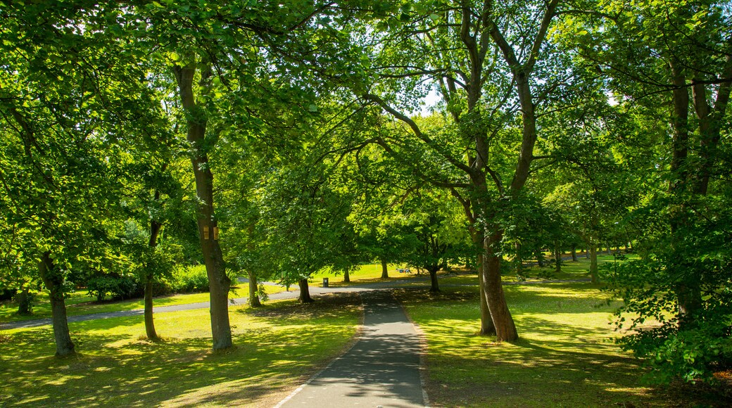 Leazes Park featuring a park