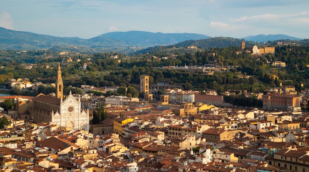 Basilique Santa Maria dei Servi