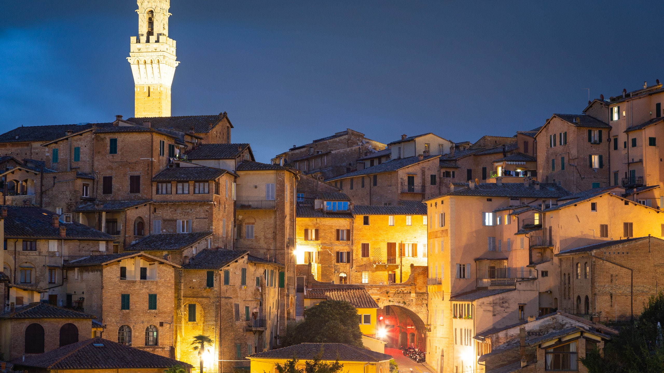 Siena featuring a city and night scenes