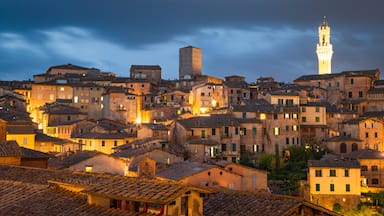 Siena featuring night scenes, landscape views and a city