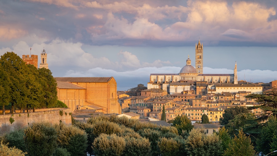 Forteresse Medicea
