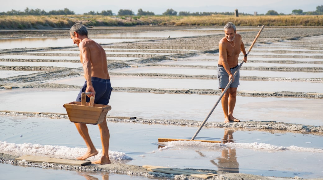 Parco della Salina di Cervia