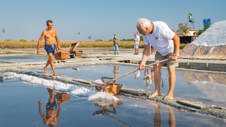 Parco della Salina di Cervia