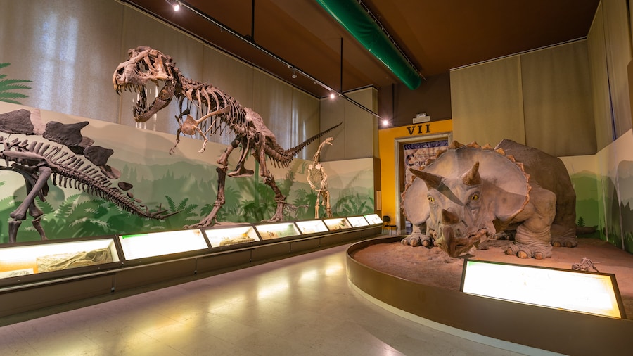 Natural Science Museum