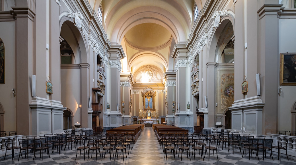 Domus del Chirurgo