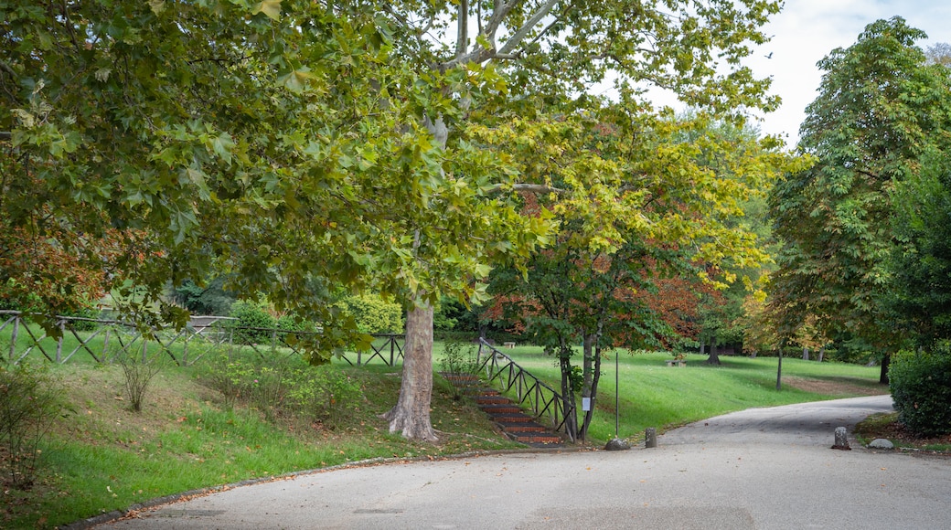 Campo di Marte showing a garden