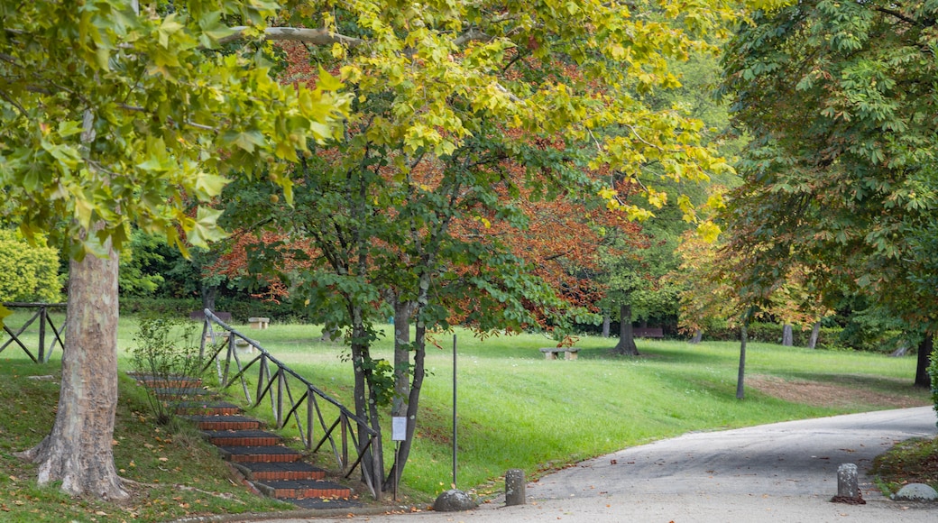 Campo di Marte featuring a park