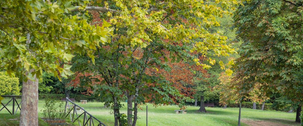 Campo di Marte showing a park
