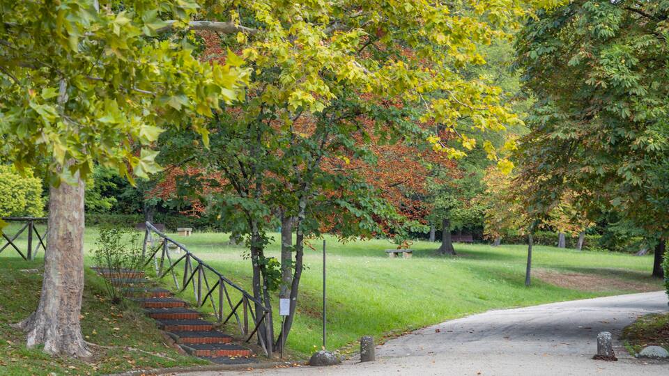 Campo di Marte showing a park