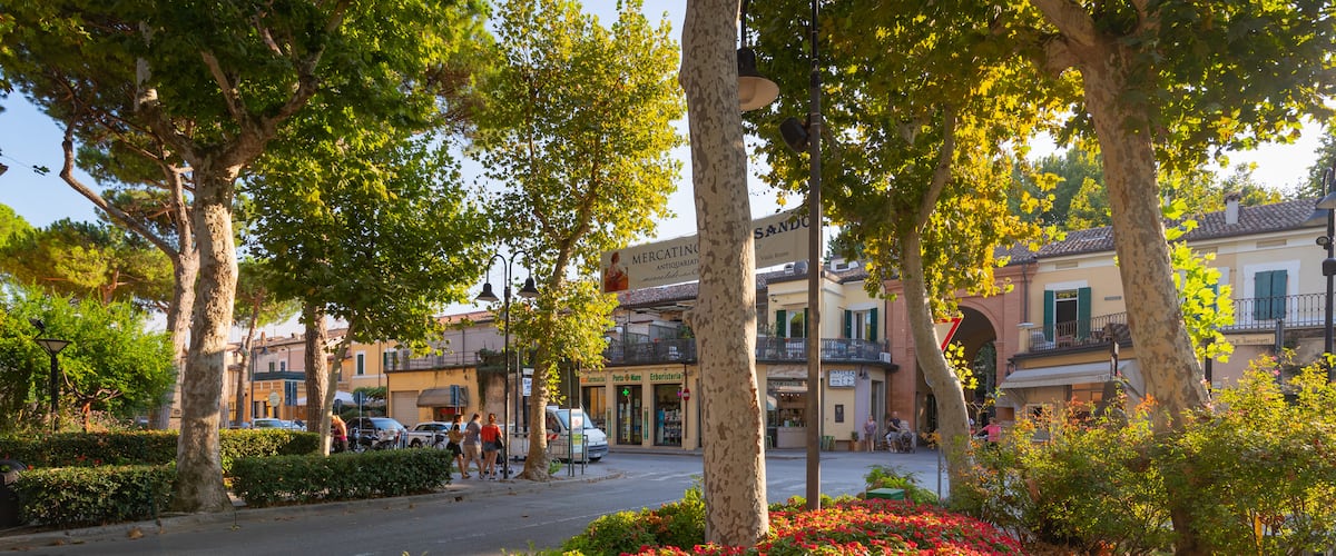 Cervia which includes wildflowers and a park