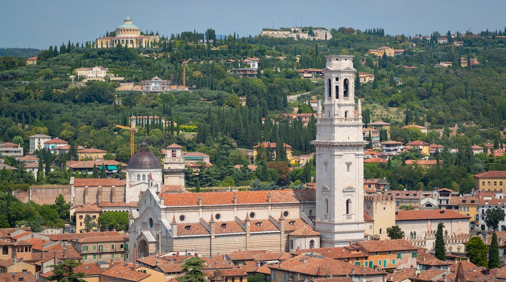 Verona Cathedral showing landscape views and a city