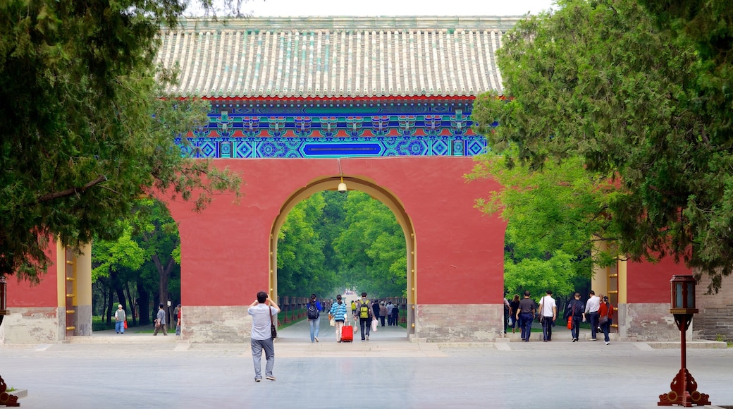 Temple of Heaven showing street scenes, a temple or place of worship and religious elements