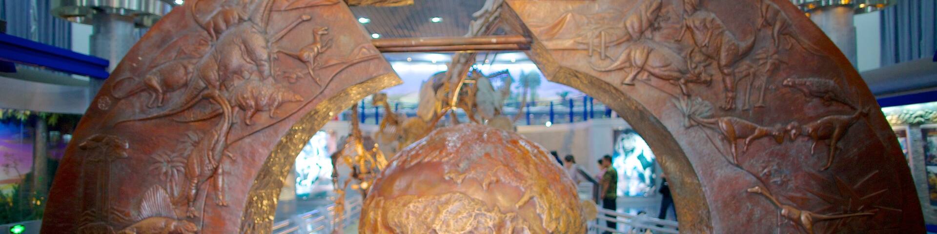 Natural History Museum which includes interior views