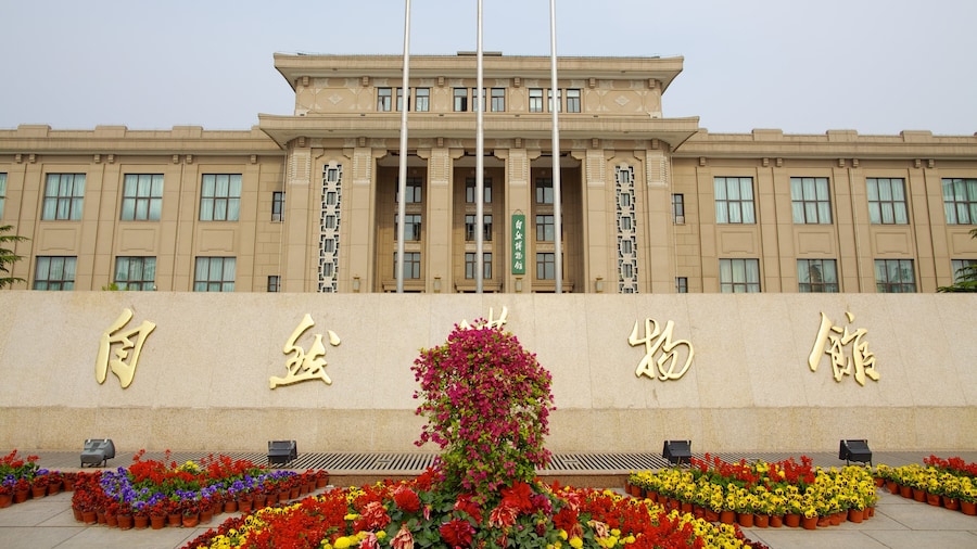 Natural History Museum featuring signage, heritage architecture and flowers
