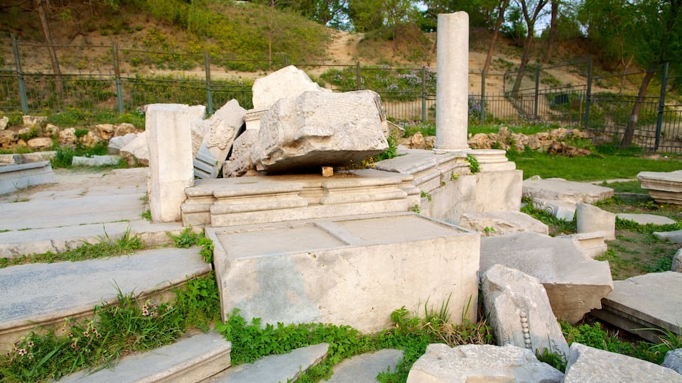 Old Summer Palace showing a ruin