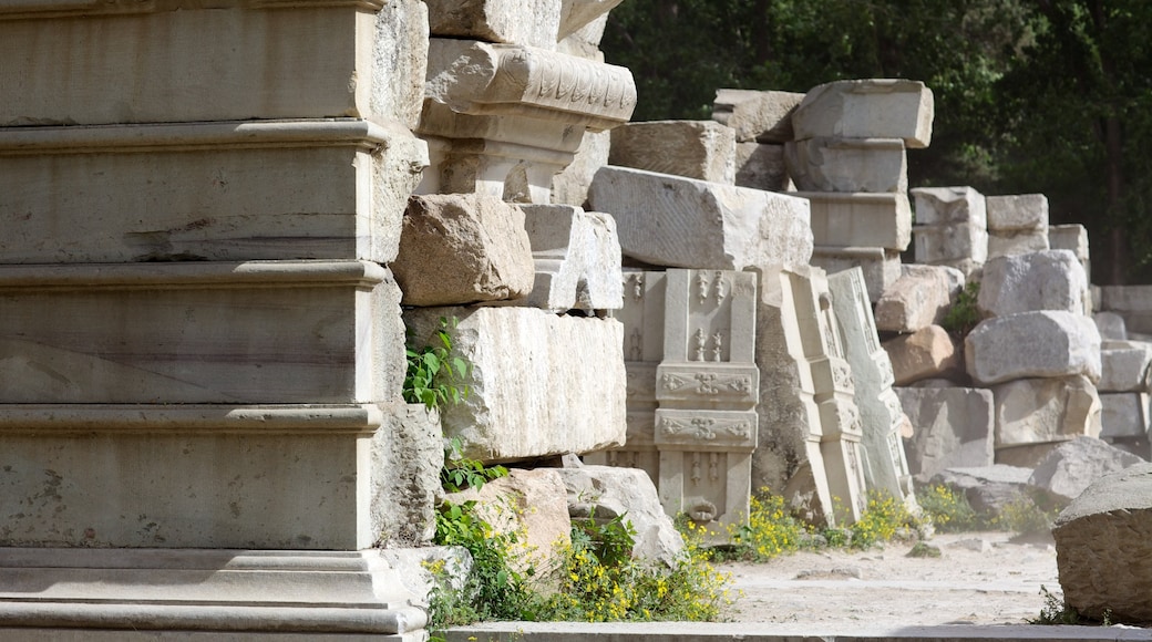 Old Summer Palace showing building ruins