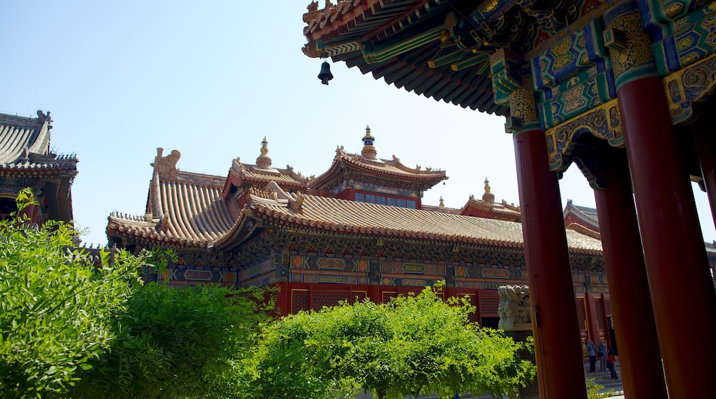 Lama Temple which includes religious aspects and a temple or place of worship