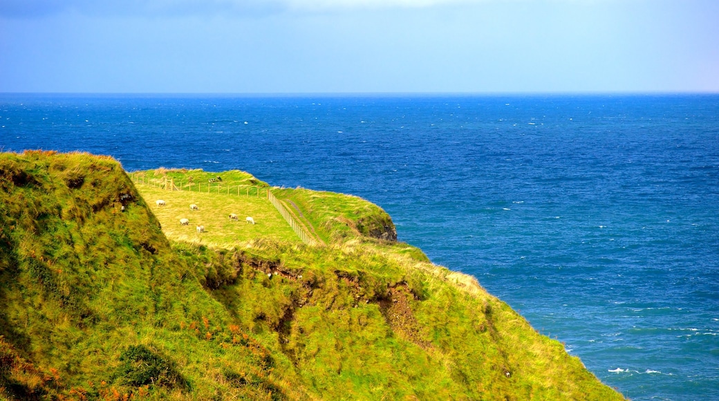 Giant\'s Causeway welches beinhaltet allgemeine Küstenansicht und ruhige Szenerie