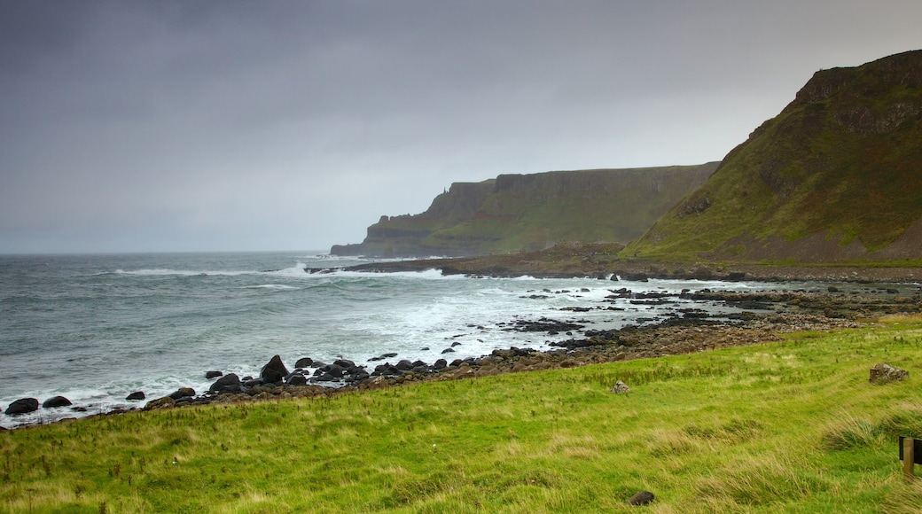 Giant\'s Causeway featuring landscape views, a gorge or canyon and rugged coastline