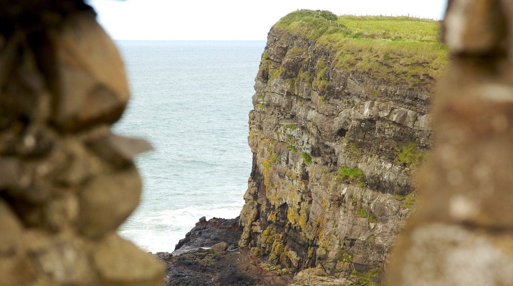 Dunluce Castle welches beinhaltet Felsküste und Schlucht oder Canyon