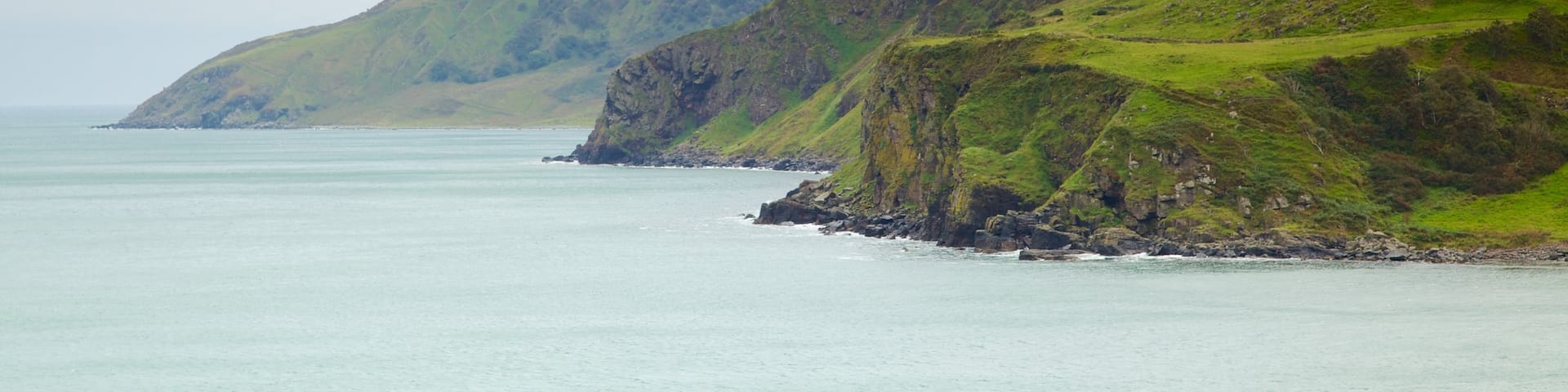 Torr Head mettant en vedette panoramas, côte escarpée et scènes tranquilles