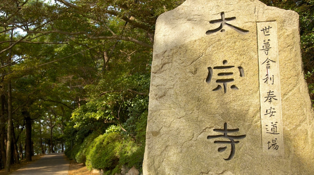 Taejongdae Park showing a park and a memorial