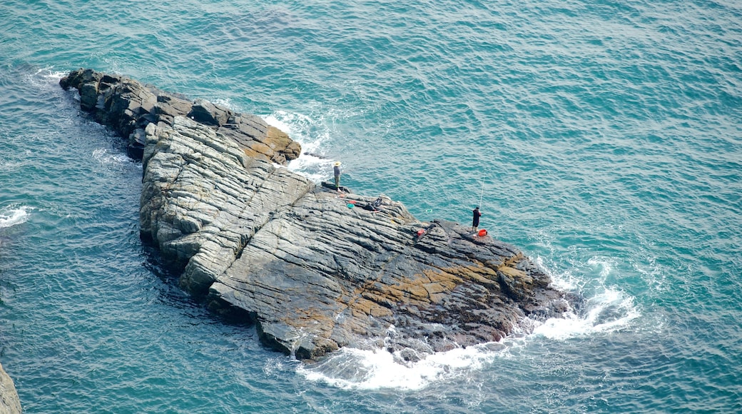 太宗台公園 呈现出 釣魚 和 多岩石的海岸線