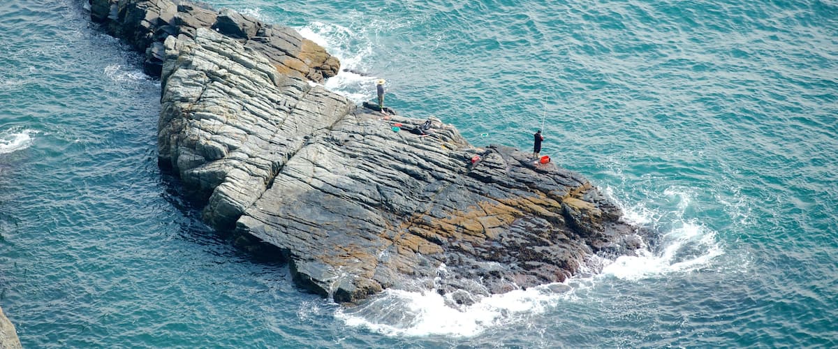 Taejongdae Park featuring rocky coastline and fishing