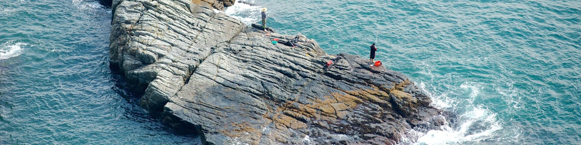 Taejongdae Park featuring fishing and rugged coastline