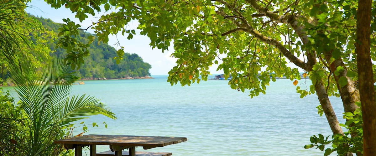 Penang National Park which includes general coastal views, tropical scenes and views