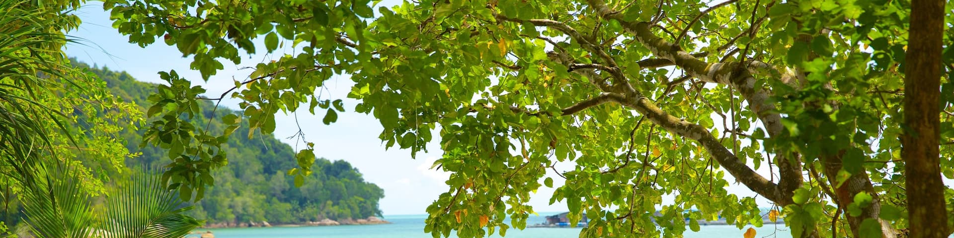 Penang National Park which includes general coastal views, tropical scenes and views