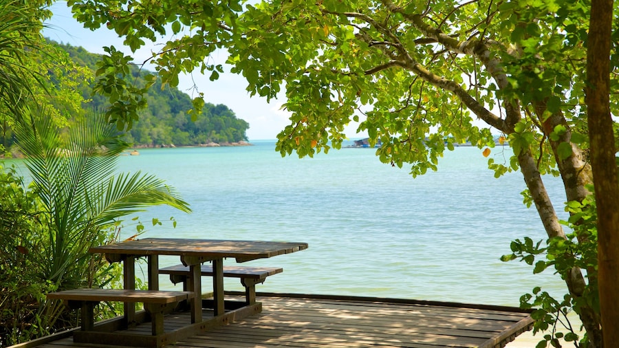 Penang National Park which includes general coastal views, tropical scenes and views