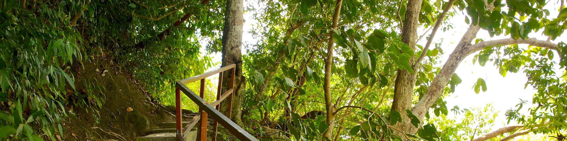 Penang National Park which includes a garden
