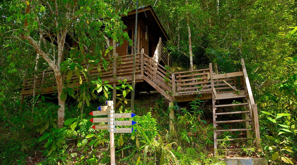 Penang National Park which includes signage and forest scenes