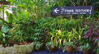 Tropical Spice Garden caratteristiche di segnaletica e giardino