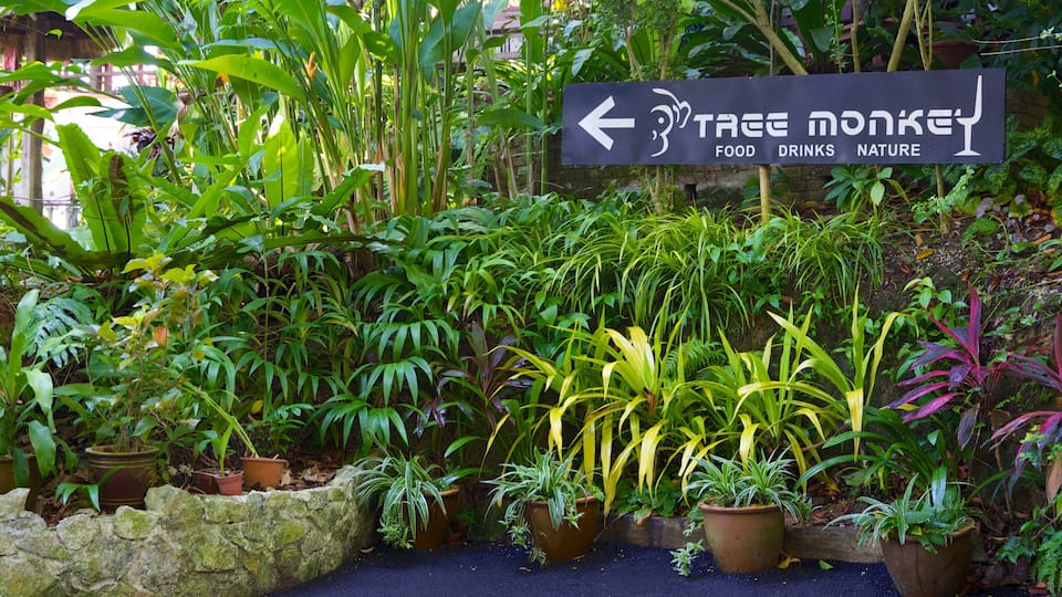 Tropical Spice Garden featuring signage and a park