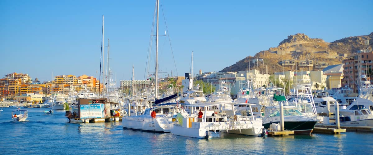 Marina Cabo San Lucas que incluye paseos en lancha y una marina