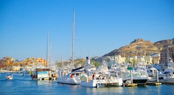 Marina Cabo San Lucas mostrando giro in barca e porto turistico