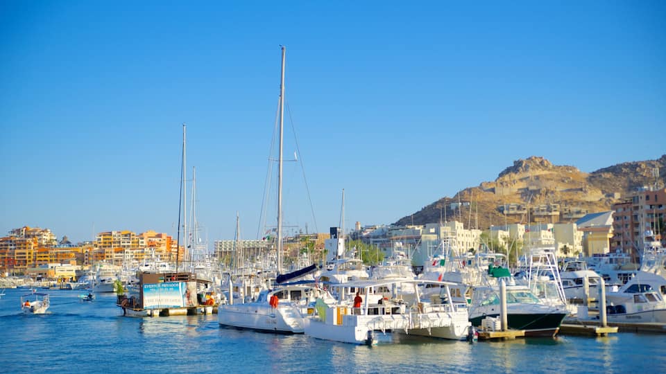 Marina Cabo San Lucas que incluye un puerto deportivo y embarcaciones