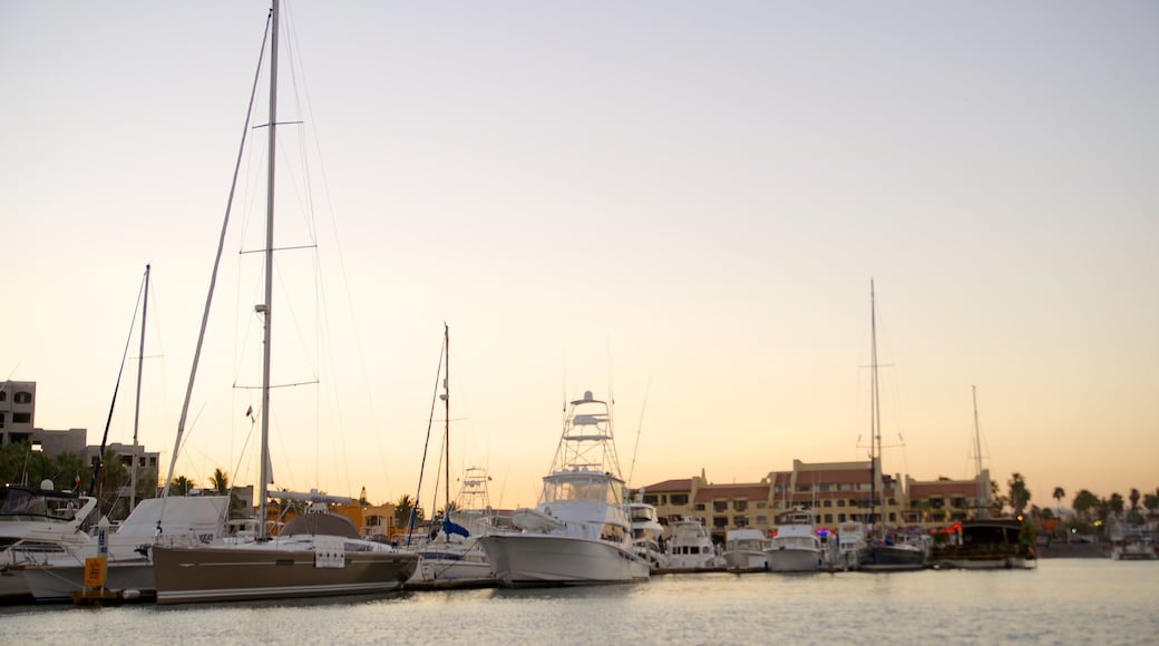 Marina Cabo San Lucas caracterizando uma marina e um pôr do sol