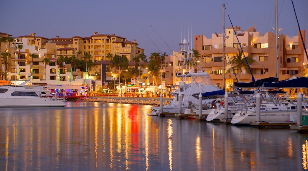 Marina Cabo San Lucas 呈现出 小港灣, 海邊城市 和 夜景