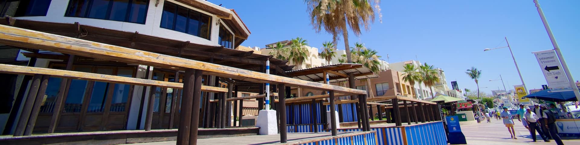 Marina Cabo San Lucas which includes a lighthouse and a coastal town