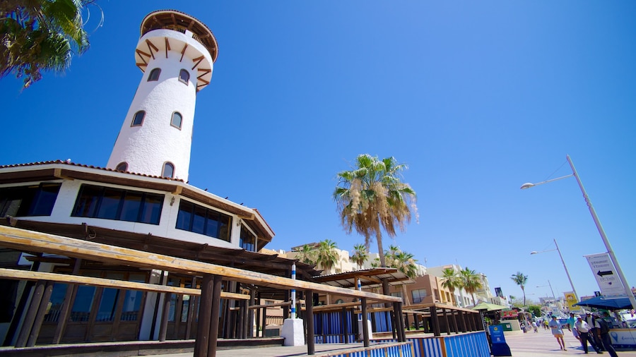 Marina Cabo San Lucas montrant phare et ville côtière