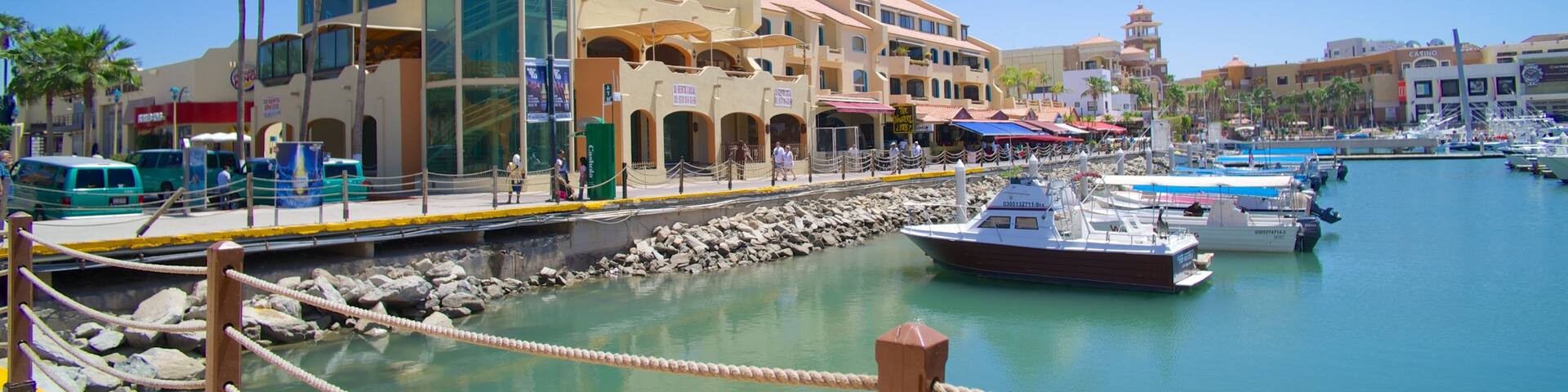 Marina Cabo San Lucas which includes a coastal town and a bay or harbour