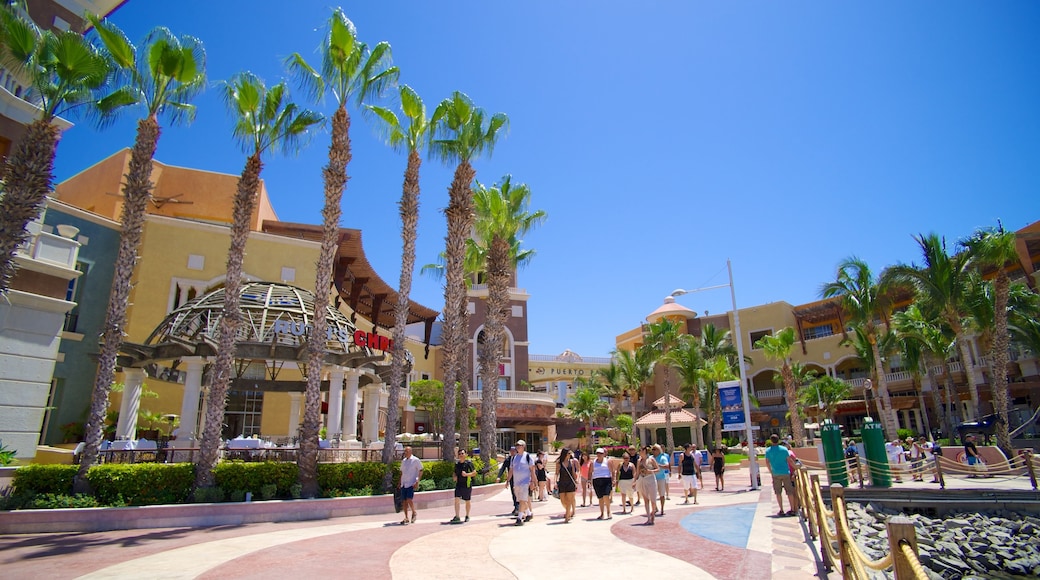 Marina Cabo San Lucas showing a coastal town as well as a large group of people