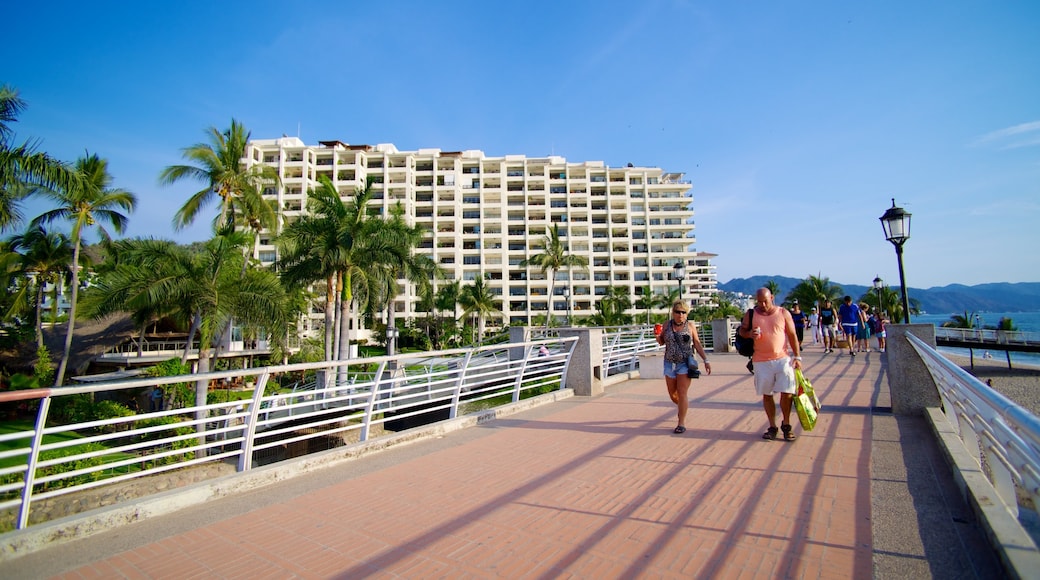 Bahía de Banderas ofreciendo escenas tropicales y un hotel o complejo turístico de lujo y también una pareja